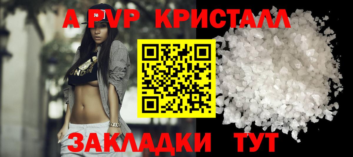 A PVP СК Асино