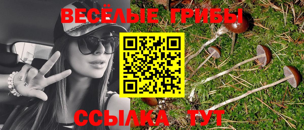 Псилоцибиновые грибы мухоморы  Вход с VPN  Асино 
